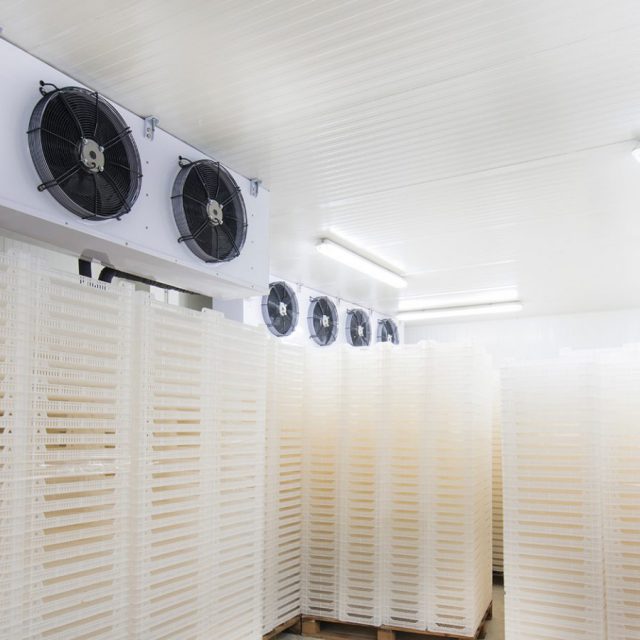 cold room cooling